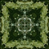 fortebkgd5587