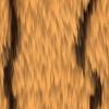 fortebkgd561