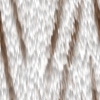 fortebkgd564