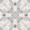 fortebkgd5782