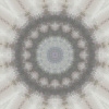 fortebkgd5789