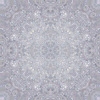 fortebkgd5801