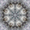 fortebkgd5848