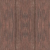 fortebkgd5901