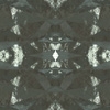 fortebkgd5932