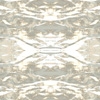 fortebkgd5934
