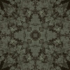 fortebkgd5960