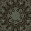 fortebkgd5962