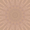 fortebkgd6005