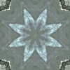 fortebkgd6024