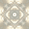 fortebkgd6028