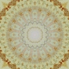 fortebkgd6174