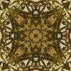 fortebkgd6225