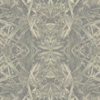 fortebkgd6299