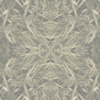 fortebkgd6301