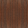 fortebkgd6330