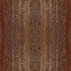 fortebkgd6331