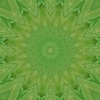 fortebkgd6372