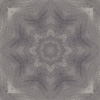 fortebkgd6381