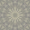 fortebkgd6414