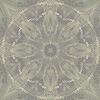 fortebkgd6415 fortebkgd6415