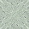 fortebkgd6433 fortebkgd6433