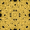 fortebkgd6483