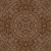 fortebkgd6504