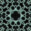 fortebkgd6577