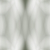 fortebkgd6753