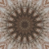 fortebkgd6924