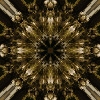fortebkgd7137