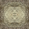 fortebkgd7238
