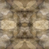 fortebkgd7257
