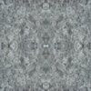 fortebkgd7278