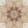 fortebkgd7311