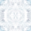 fortebkgd7453