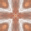 fortebkgd7534