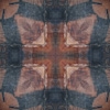 fortebkgd7546