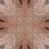 fortebkgd7602