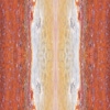 fortebkgd7910
