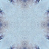 fortebkgd7998