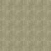 fortebkgd8305