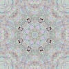 fortebkgd8481