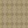 fortebkgd8895