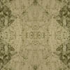 fortebkgd8920