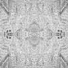 fortebkgd9152