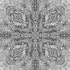 fortebkgd9188