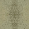 fortebkgd9237