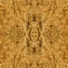 fortebkgd9270